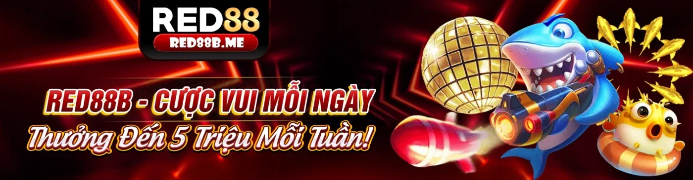 Blog dv88 app: Cập nhật tin tức cá cược thể thao và trò chơi sòng bạc mới nhất